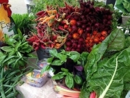 monroe-farmers-market-fresh-basil-heirloom-carrots