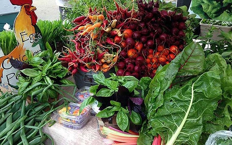 monroe farmers market fresh basil heirloom carrots