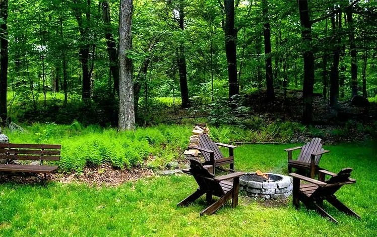 Moss Hollow Cabin backyard