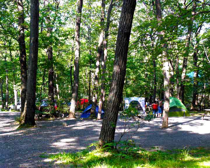 mount-pocono-campground-group-of-tent-sites