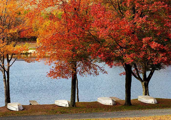 mountain springs lake resort shore in autumn