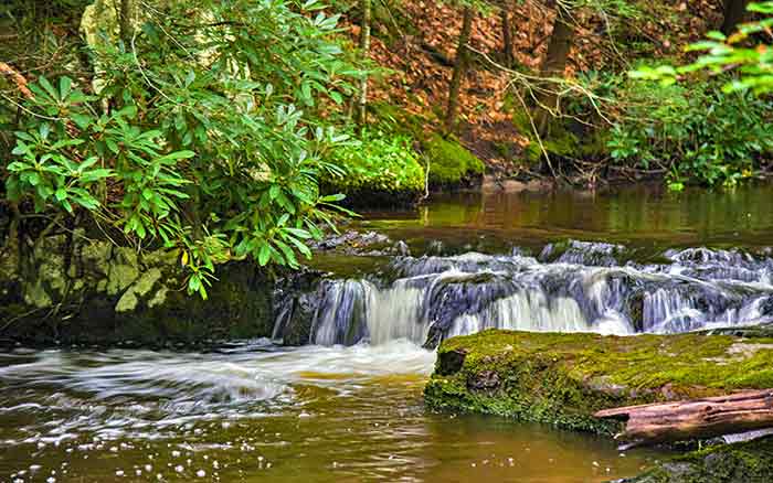 nothstein preserve waterfall