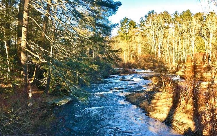 pasold farm nature preserve brodhead creek in october sunlight