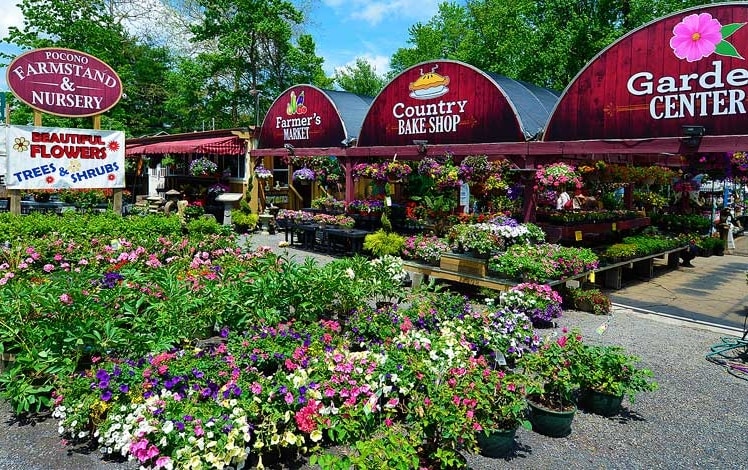 pocono farmstand nursery building and parking lot full of flowering plants