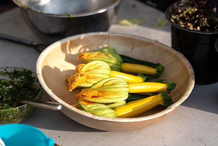 organic squash blossoms