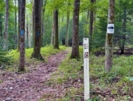 Promised Land Boundary Trail markers