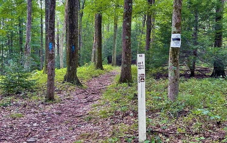 Promised Land Boundary Trail markers