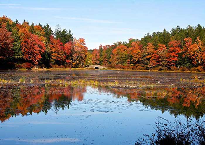 Promised Land State Park