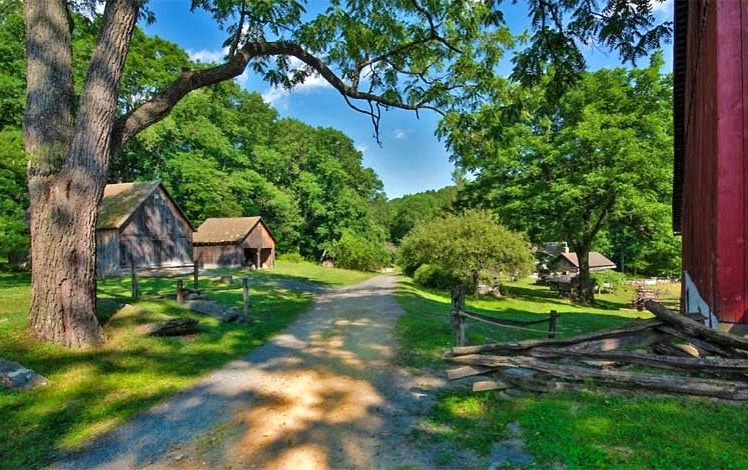 road through the farm