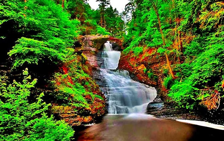 Raymondskill Falls View