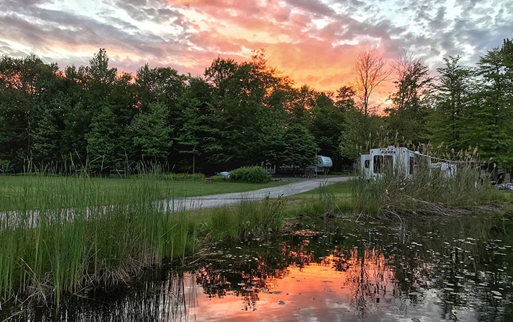 secluded acres campground marsh and reeds