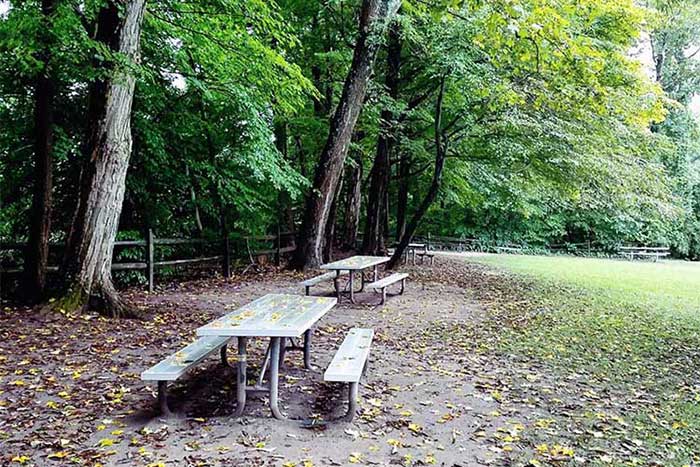 smithfield-beach-picnic-tables-in-the-trees