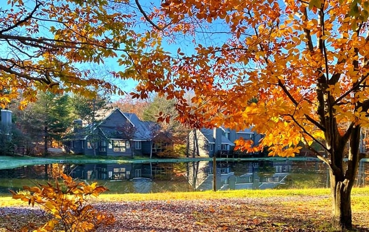 snow ridge village houses around pond