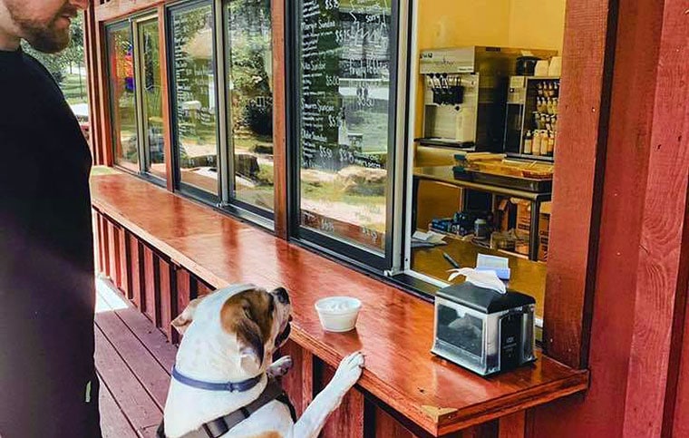 south street ice cream cafe guy with his dog at the counter