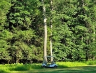 golf cart in front of field of trees