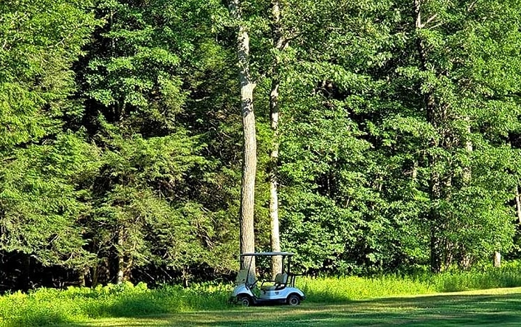 golf cart in front of field of trees