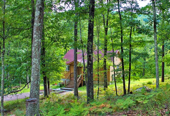 Sylvania Tree Farm luxury cabin in the woods