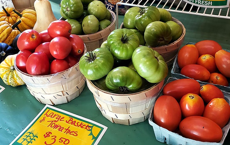 farm at mill run table of tomatoes