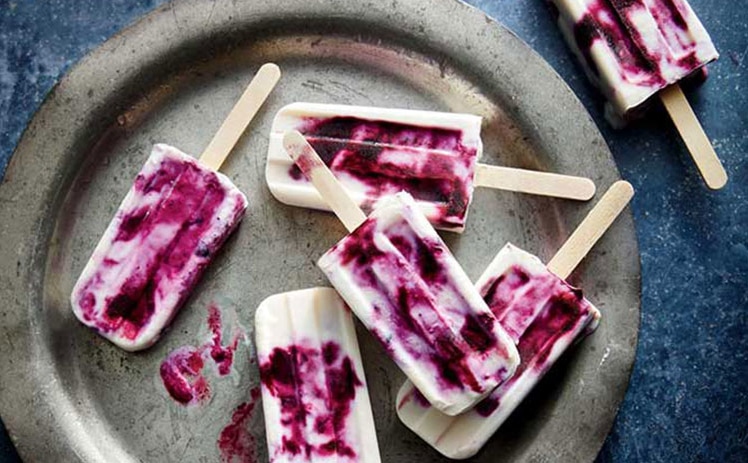 the paupack blueberry farm lavender yogurt blueberry pops