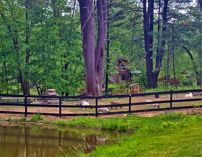 the pond house at millrift