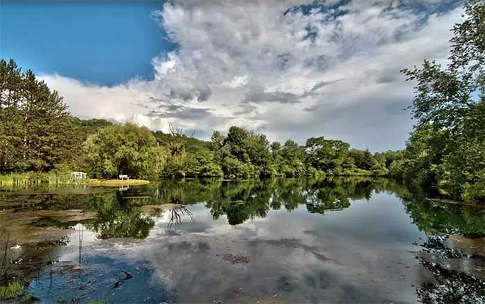 the-willow-pond-the-beautiful-pond