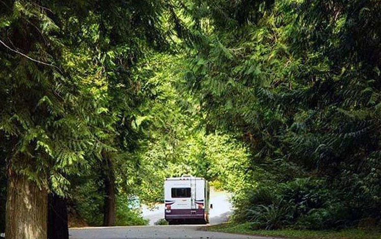 timothy-lake-south-rv-in-the-woods