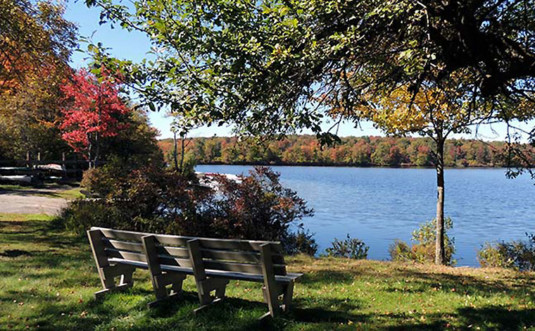tobyhanna state park bench on the shore