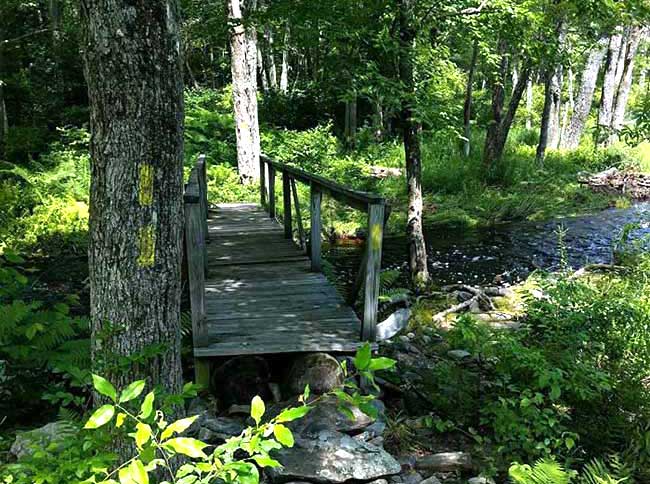 tobyhanna-state-park-bridge-across-creek