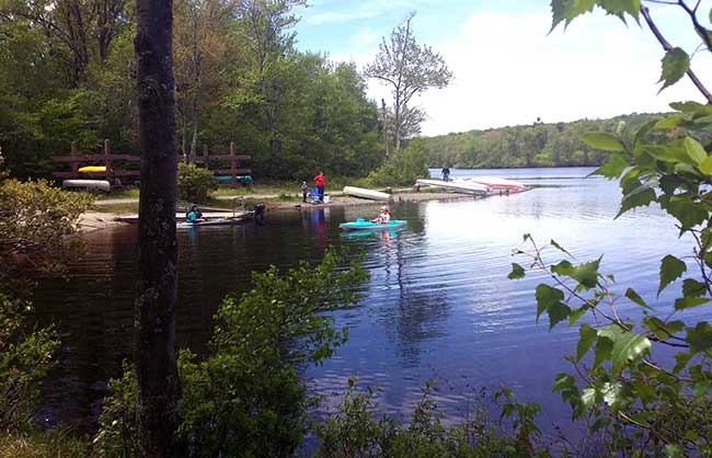 tobyhanna-state-park-lakeside-canoes