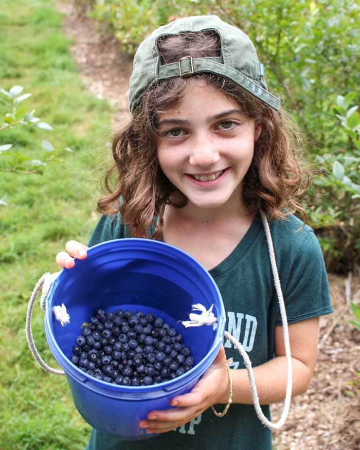 trails-end-summer-camp-picking-blueberries