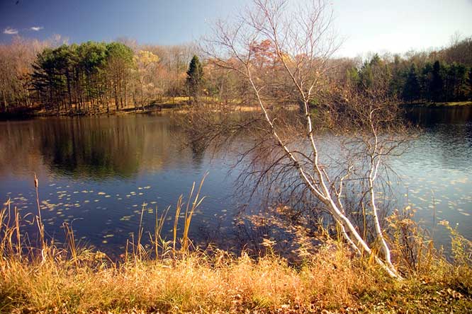 varden-conservation-area-lake