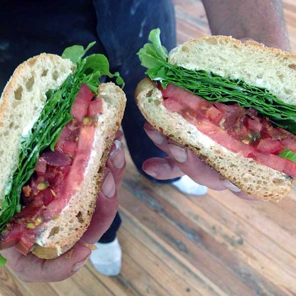 wayne-county-farmers-market-blt-sandwich