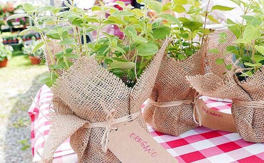 wayne-county-farmers-market-potted-herbs-in-burlap-bags