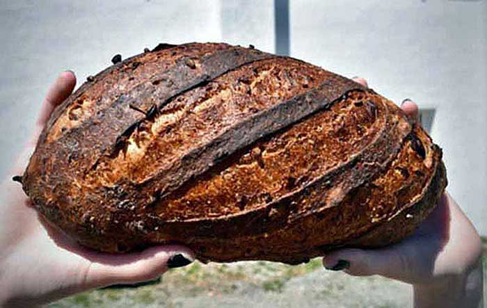 windy-farms-parmesan-rosemary-maple-rye-bread